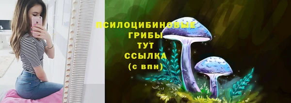 спайс Михайловск