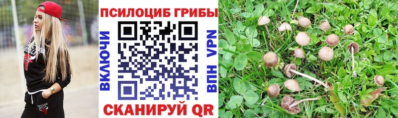 Галлюциногенные грибы прущие грибы  Купить закладки  Руза 